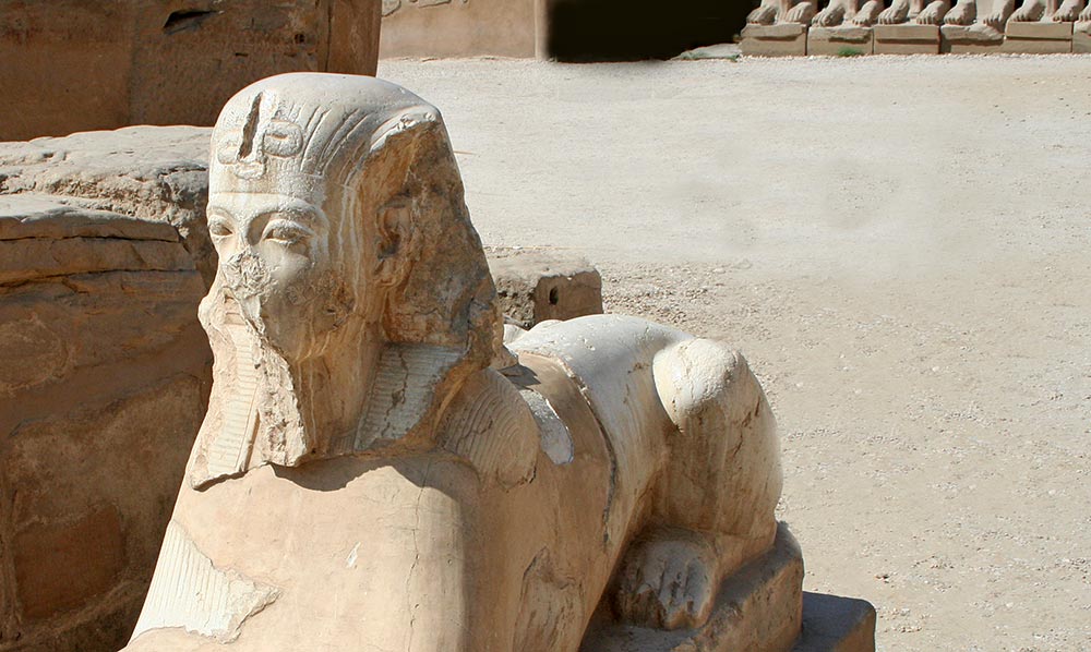 Human Headed Sphinx (Anrosphinx)