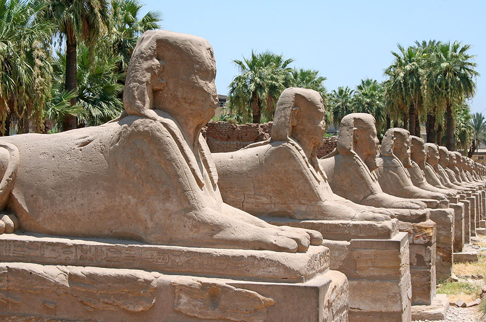Androsphinx (human headed sphinxes)
